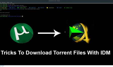 How to download torrent to idm free